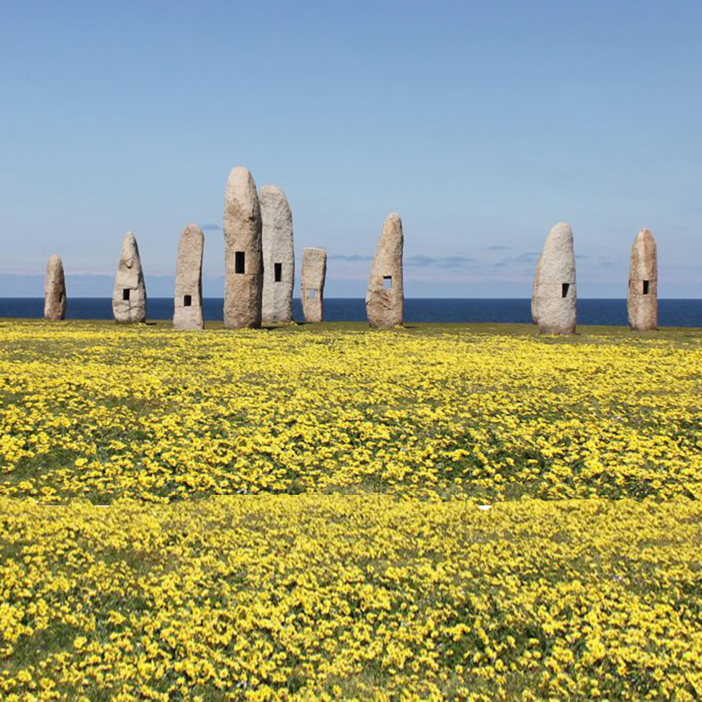 Eine Landschaft mit gelben Blumen mit Felsbrocken im Hintergrund.